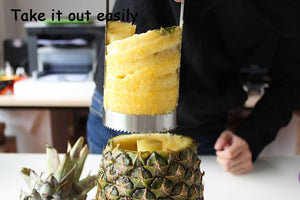 Stainless Steel Pineapple Cutter