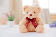 Load image into Gallery viewer, Luminous Glowing Teddy Bear